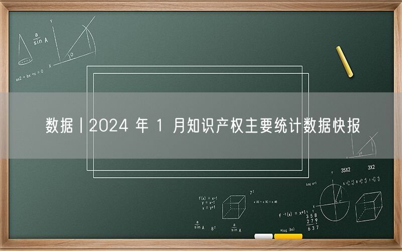 数据丨2024 年 1 月知识产权主要统